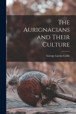 The Aurignacians and Their Culture