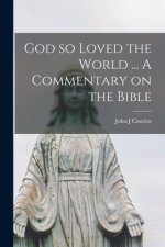 God so Loved the World ... A Commentary on the Bible