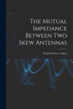 The Mutual Impedance Between Two Skew Antennas