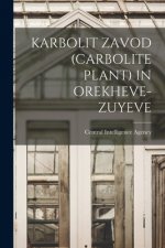 Karbolit Zavod (Carbolite Plant) in Orekheve-Zuyeve