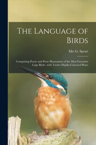 Language of Birds