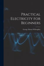 Practical Electricity for Beginners