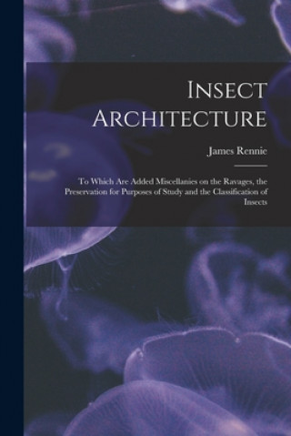 Insect Architecture