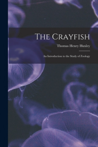 Crayfish