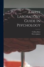 A First Laboratory Guide In Psychology