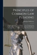 Principles of Common-law Pleading