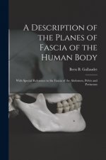 A Description of the Planes of Fascia of the Human Body: With Special Reference to the Fascia of the Abdomen, Pelvis and Perineum