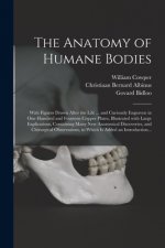 Anatomy of Humane Bodies