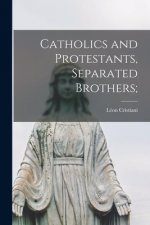 Catholics and Protestants, Separated Brothers;