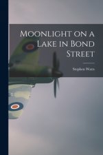 Moonlight on a Lake in Bond Street