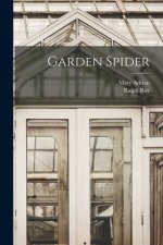 Garden Spider