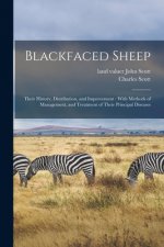 Blackfaced Sheep