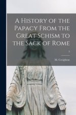 A History of the Papacy From the Great Schism to the Sack of Rome; 3