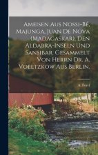 Ameisen Aus Nossi-Be, Majunga, Juan De Nova (Madagaskar), Den Aldabra-Inseln Und Sansibar. Gesammelt Von Herrn Dr. A. Voeltzkow Aus Berlin.