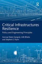 Critical Infrastructures Resilience