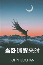 当卧铺醒来时: When the Sleeper Wakes, Chinese edition