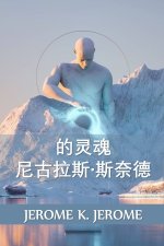 尼古拉斯-斯奈德的灵魂: The Soul of Nicholas Snyders, Chinese edition