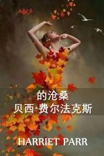 贝西-费尔法克斯 的变迁: The Vicissitudes of Bessie Fairfax, Chinese edition