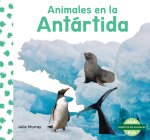Animales En La Antártida (Ani