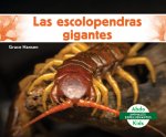 Las Escolopendras Gigantes (GI