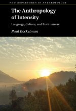 Anthropology of Intensity