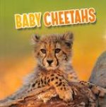 Baby Cheetahs