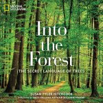 Into the Forest