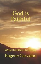 God Is Faithful: What the Bible Has to Say