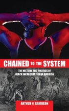 Chained to the System: The History and Politics of Black Incarceration in America