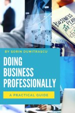 Doing Business Professionally: A Practical Guide
