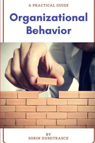 Organizational Behavior: A Practical Guide