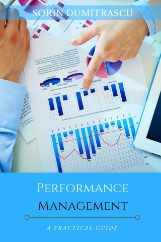 Performance Management: A Practical Guide
