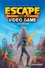 Escape from a Video Game, 3: The Endgame