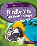Birdbrain: Are Birds Dumb?: AR