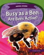 Busy as a Bee: Are Bees Active