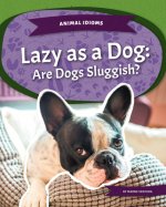 Lazy as a Dog: Are Dogs Sluggi