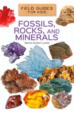 Fossils, Rocks, and Minerals