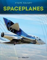 Spaceplanes