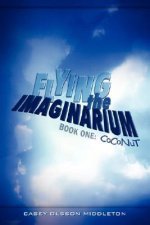 Flying the Imaginarium