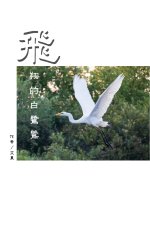 飛翔的白鷺鷥（繁體中文版）: The Flying Egret (Traditional Chinese Editio