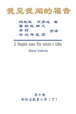 我见我闻的福音（第十册：耶稣宣教第二ॲ