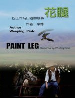 花腿：一匹工作马口述的故事