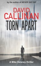 Torn Apart: gripping, addictive, Mike Delaney suspense thriller