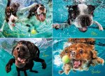 Underwater Dogs: Ruff Water 1000-Piece Puzzle