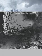 Ingrid Pollard
