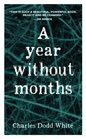Year without Months