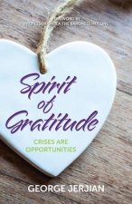 Spirit of Gratitude: Crises are Opportunities