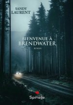 Bienvenue à Brendwater