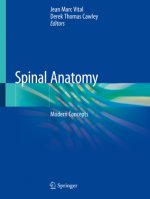 Spinal Anatomy: Modern Concepts