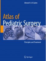 Atlas of Pediatric Surgery: Principles and Treatment